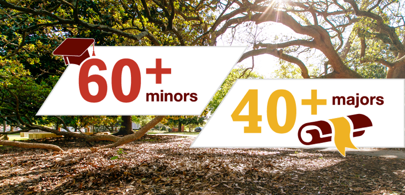 minors majors