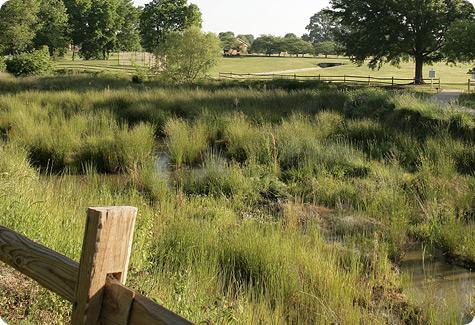 Piedmont Wetlands Research Area