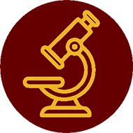 decorative graphic