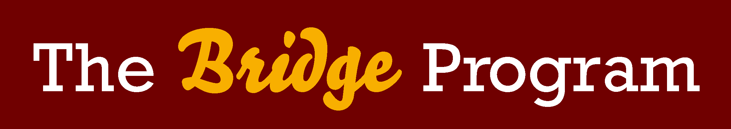 The Bridge Program