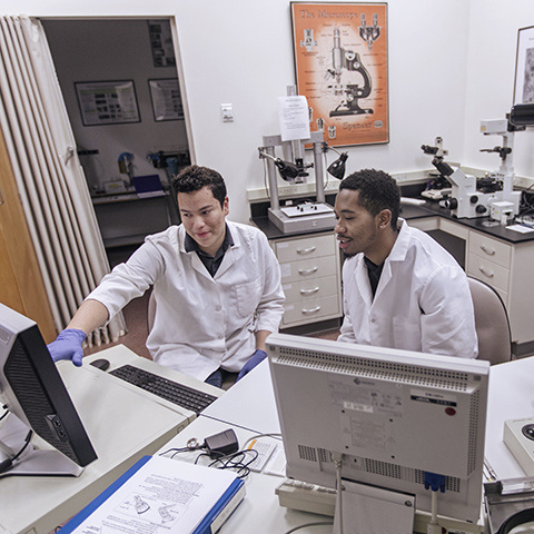 Science and Health Meta-Major