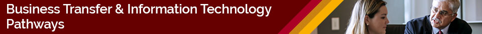 Business Transfer and Information Technology Pathways
