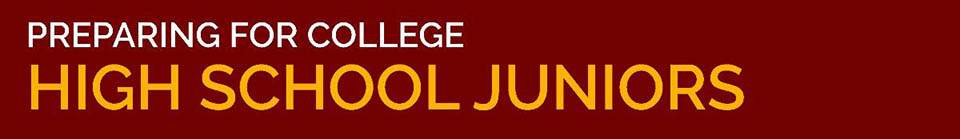 High School Juniors