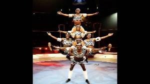 Jabali acrobats