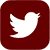 Twitter Icon