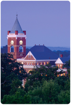 Tillman at sunrise