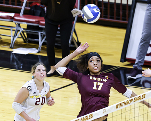 Volleyball Action Shot