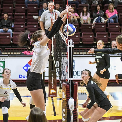 Volleyball Action Shot