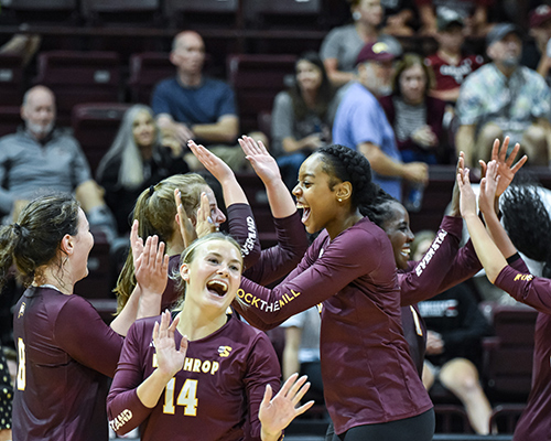 Volleyball players celebrating and high-fiving each other