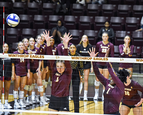 Volleyball Action Shot