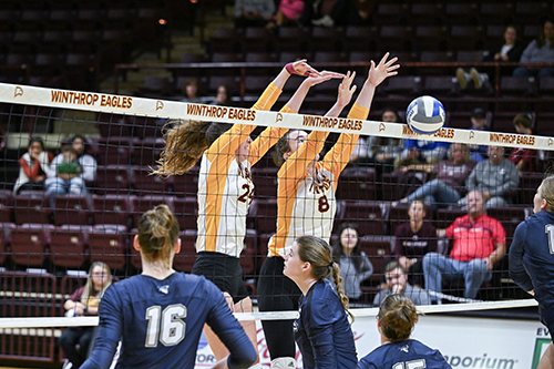 Volleyball Action Shot