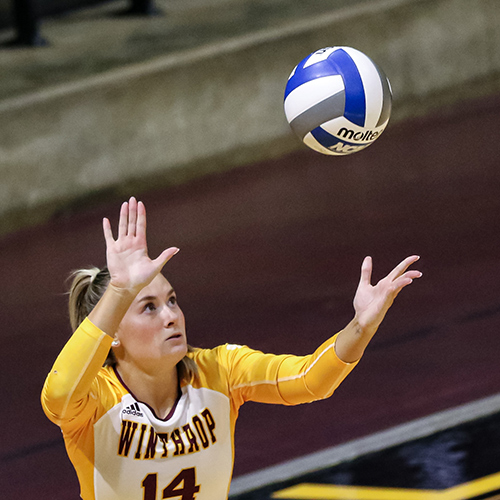 Volleyball Action Shot