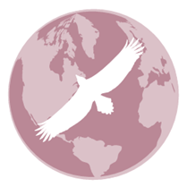 A silhouette of an eagle flying over the world