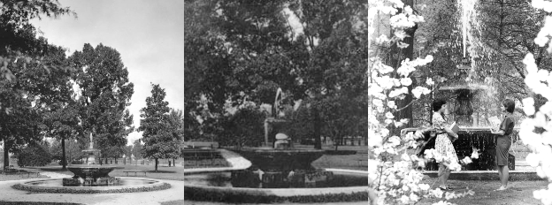 fountain collage