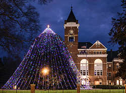 Christmas Tree Lighting