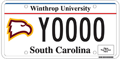 newlicenseplate