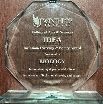 2023 IDEA winner
