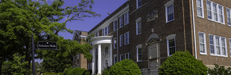Faculty Members Granted Tenure and Promotion