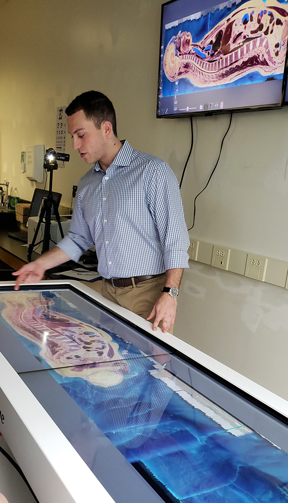 Anatomage