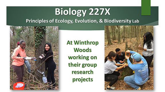 Biology 227X