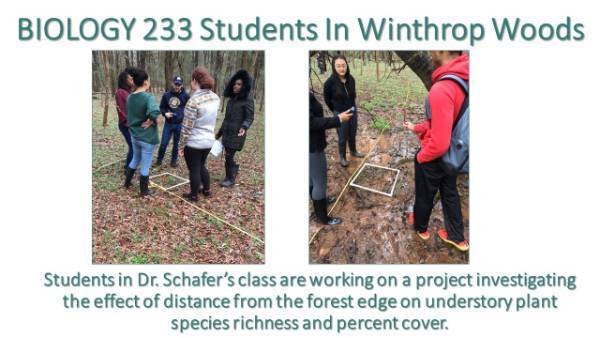 Biology 223 Dr. Schafer