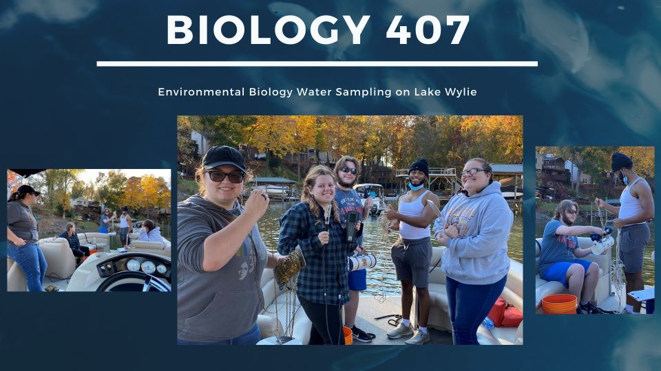 Biology 407