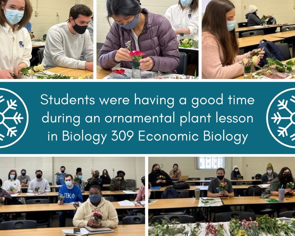 Biology 309