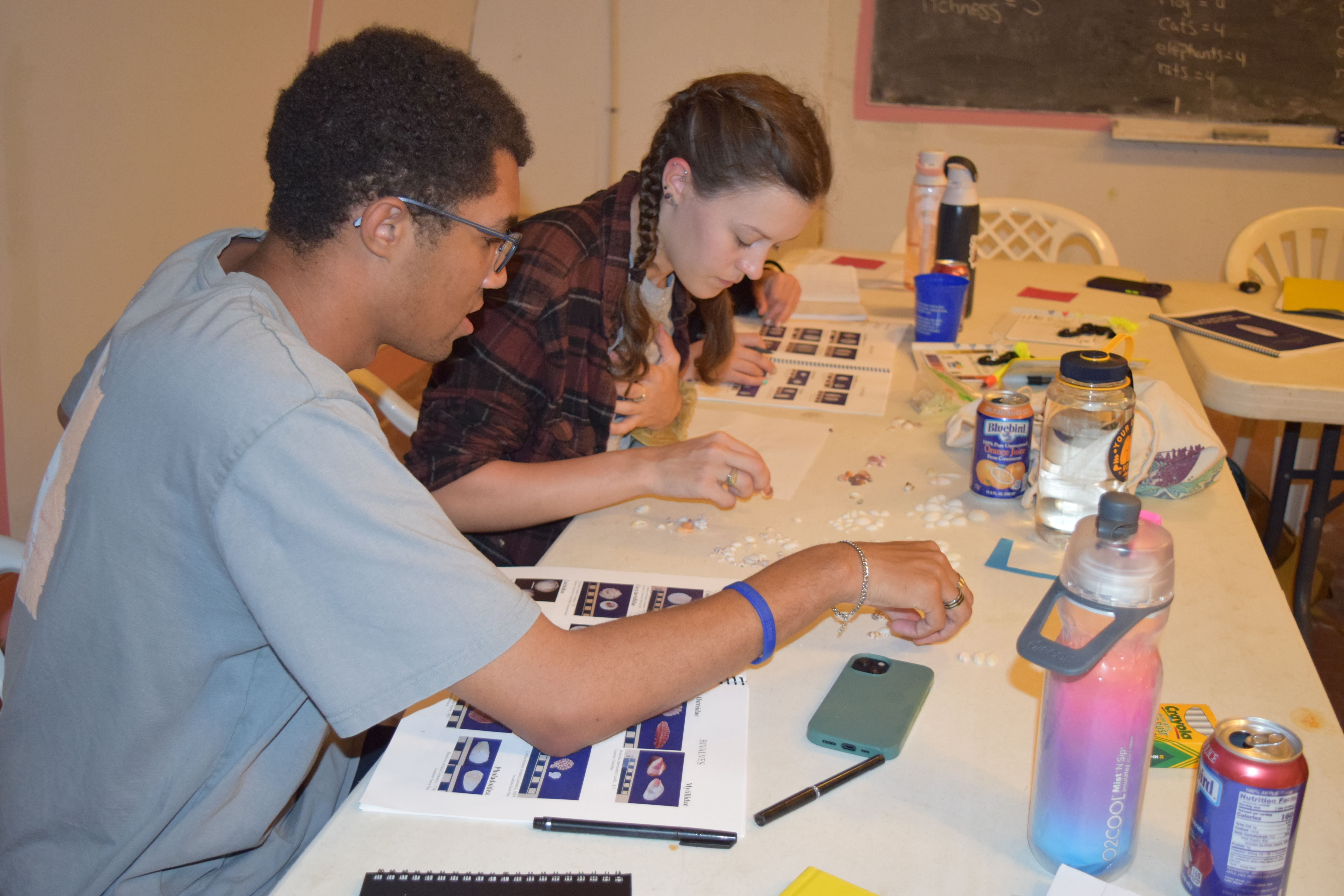 Students analyze samples in the Bahamas