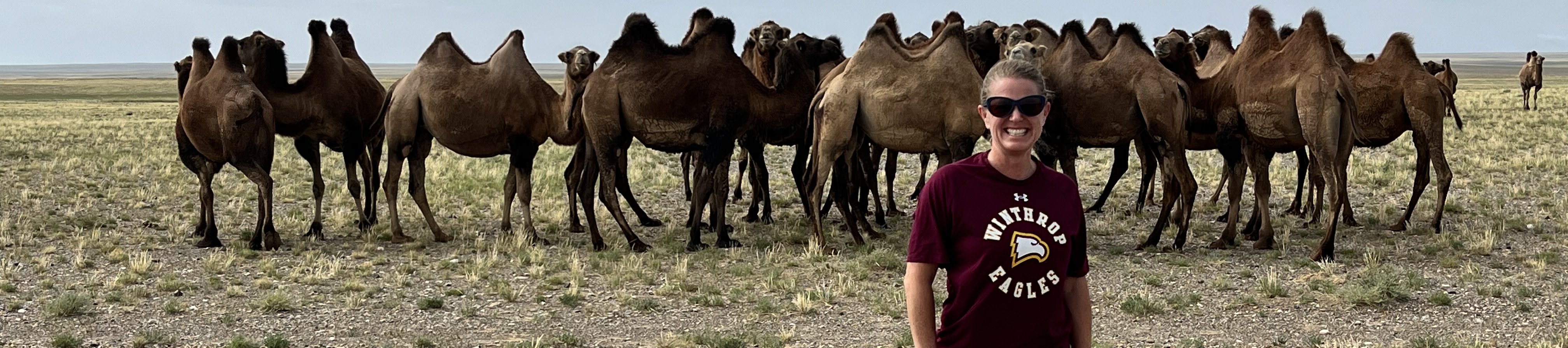 Camels