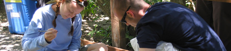 Environmental jobs