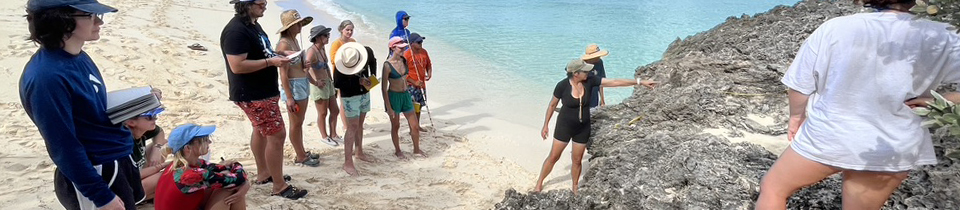 GEOL 345 students examine the geology of the Bahamas.