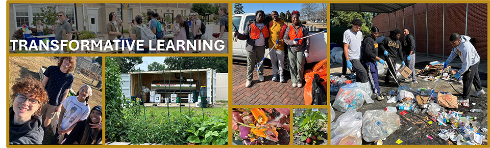 sustainability collage A collage of students engaged in active learning
