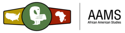small 500 aams logo