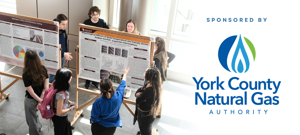 Students standing around a poster