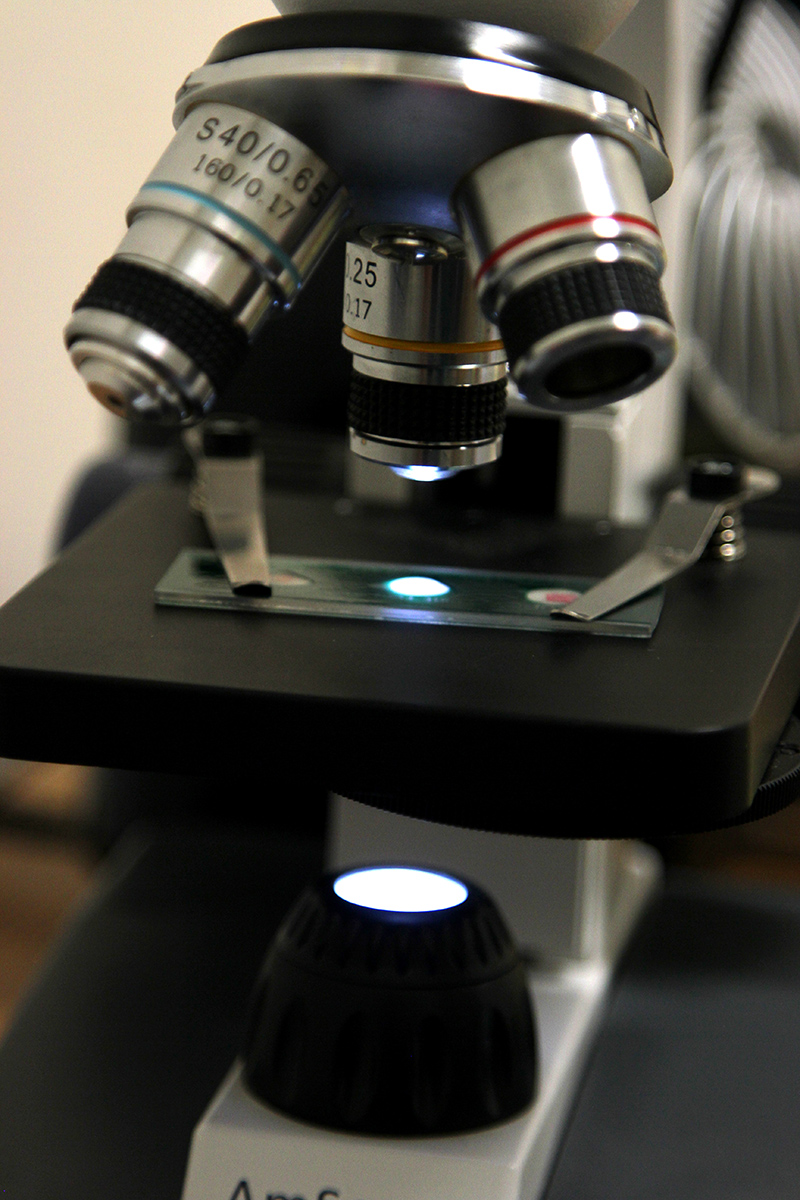 digital microscope