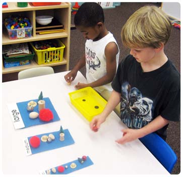 Boys Sorting Medium