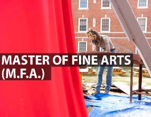 Master of Fine Arts