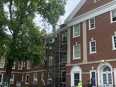 Green tall tree next to brick building showing men in neon green on scaffolding