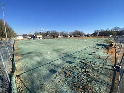 Blue-green seed on muddy ground with blue sky above