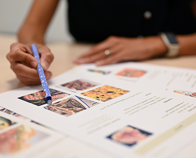 a registered dietitian showing a client a customized meal plan