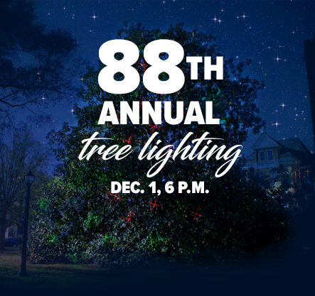 Tree lighting