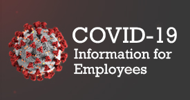 Division of Human Resources, Employee Diversity and Wellness