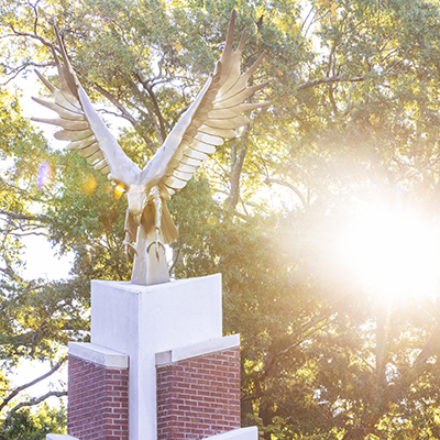 The Winthrop eagle statue with the sun shining brightly through the trees behind it