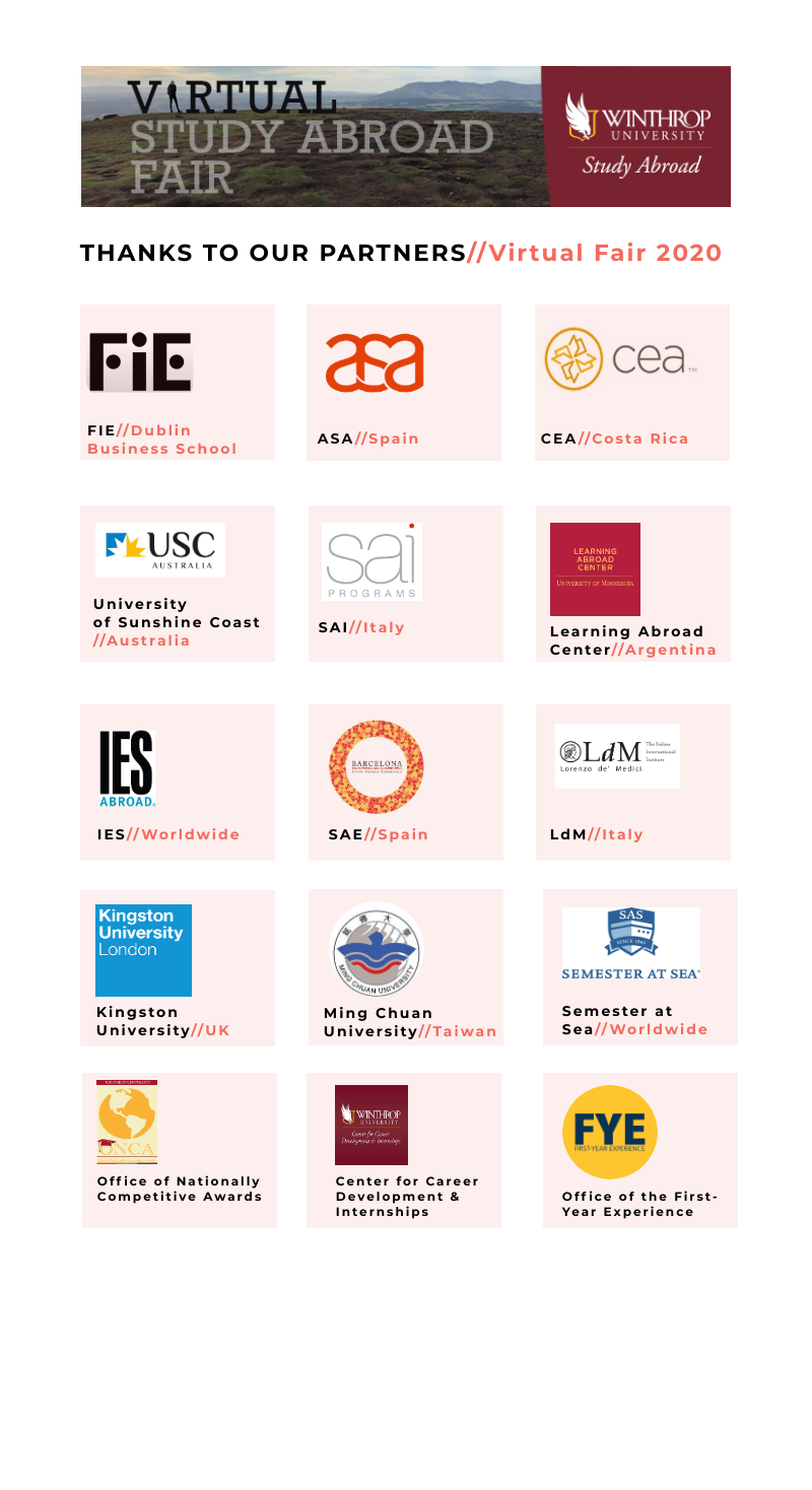VSAF Partners