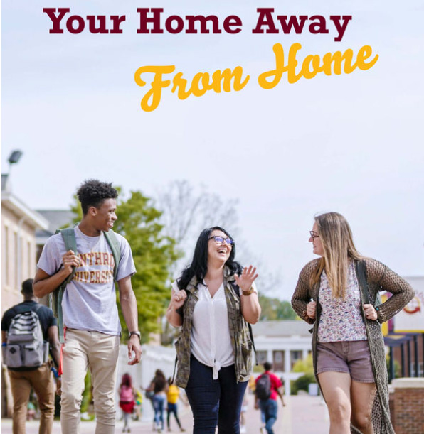 brochure cover