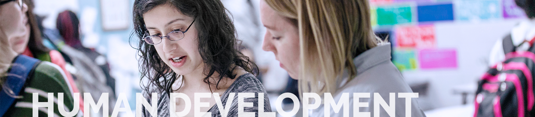 Decorative Counseling and Development Header