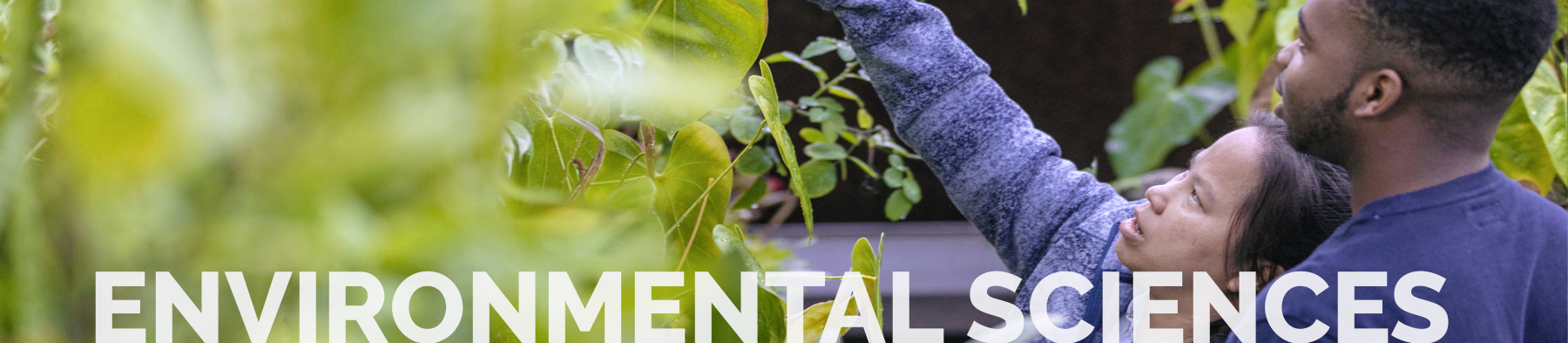 Decorative Environmental Sciences Header