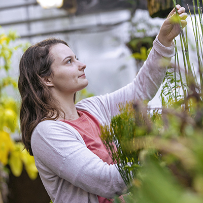 Student studying plants in greenhouse