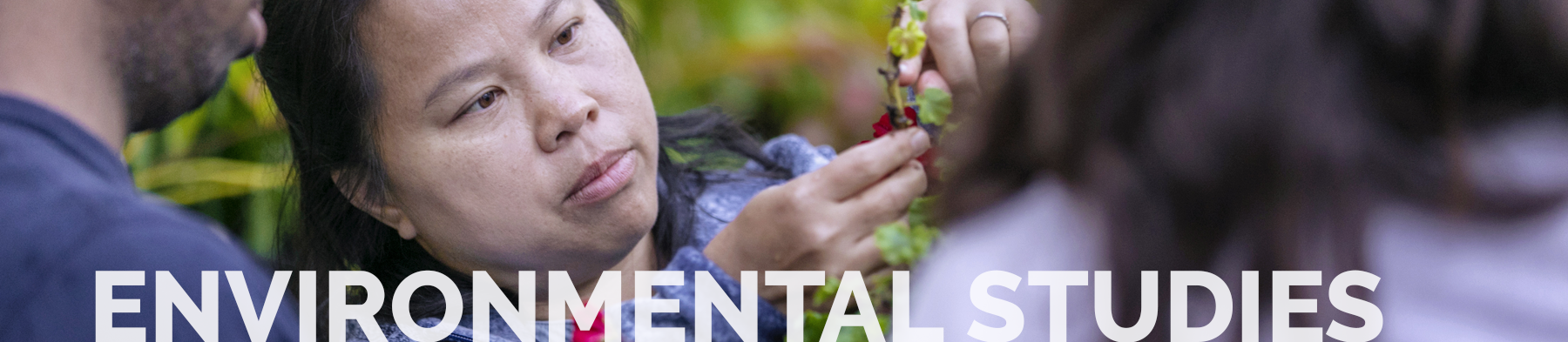 Decorative Environmental Studies Header