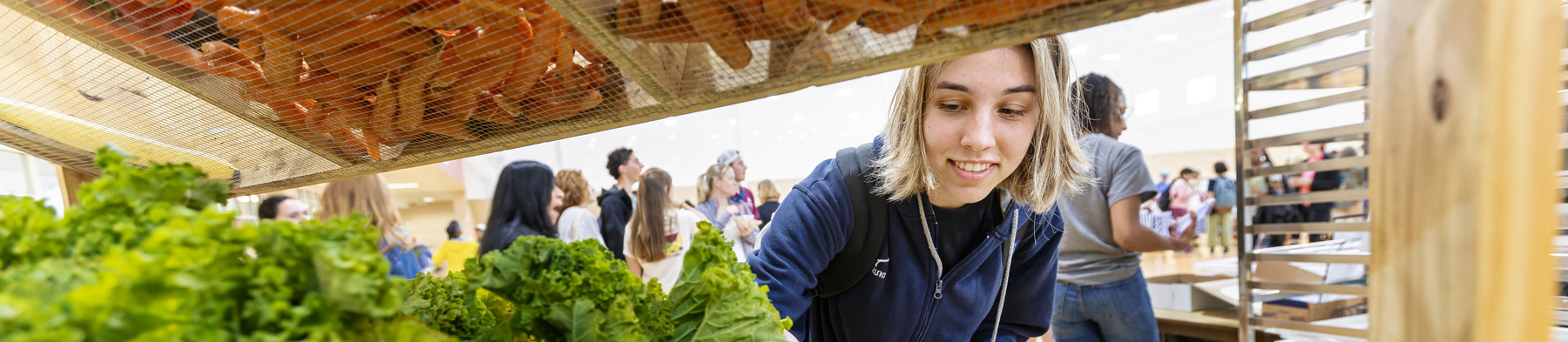Decorative Human Nutrition Header
